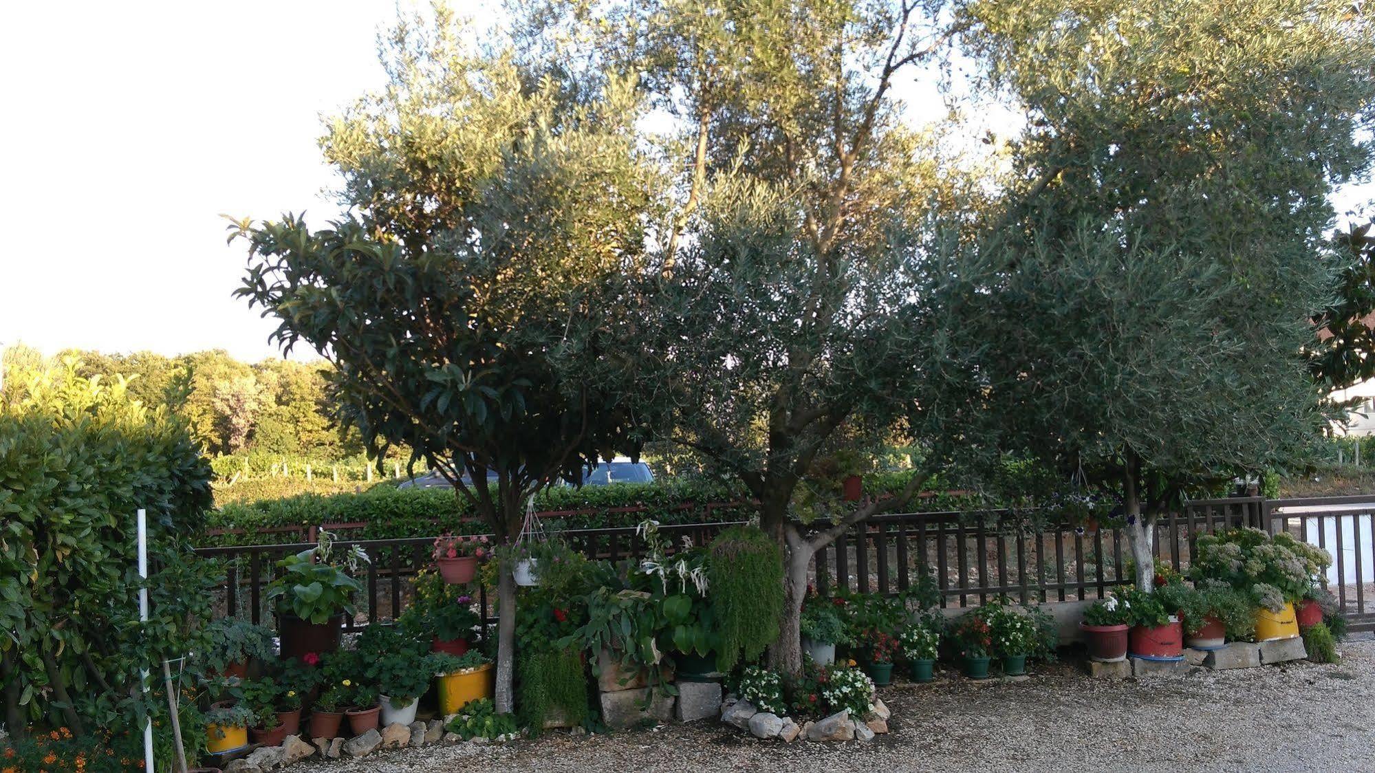 فندق بنسيون إيفانكا باراك Međugorje المظهر الخارجي الصورة